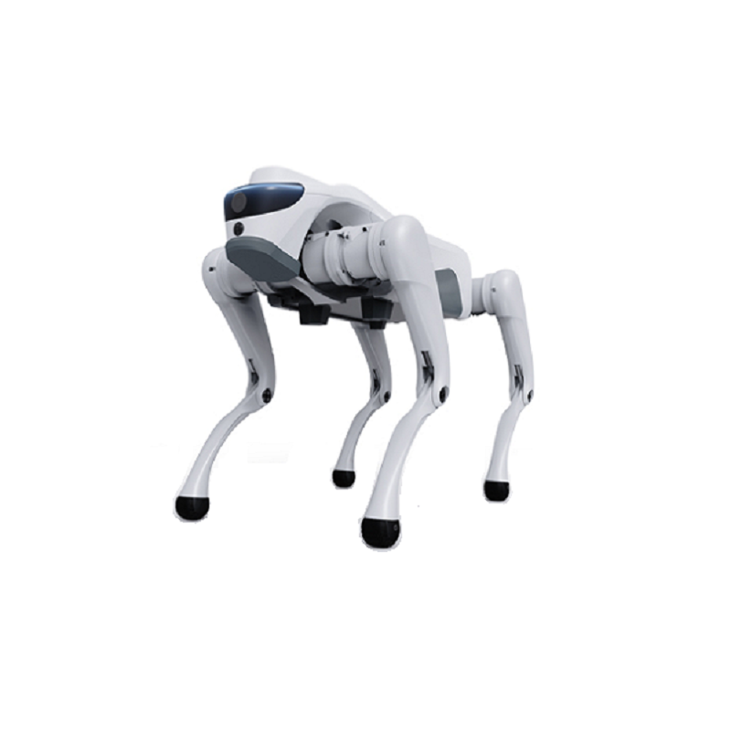 Hur kan en fyrbäddsrobot förvandla moderna industriella och intelligenta tillämpningar?