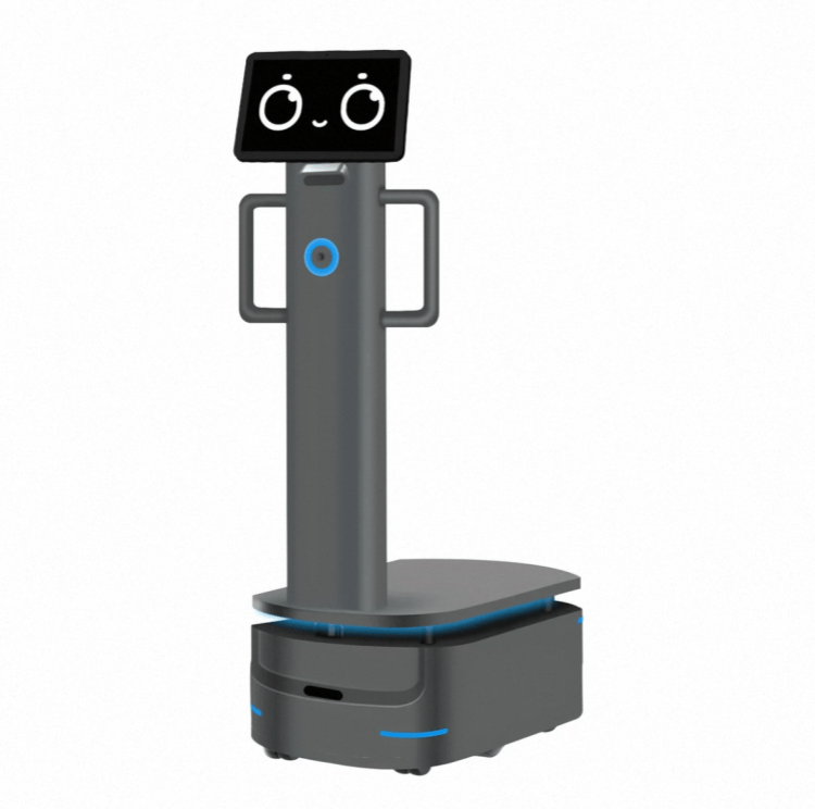 Robot för tung nyttolast för industriell leverans