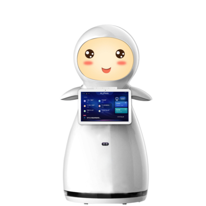 Interactive Hotel Concierge Robot