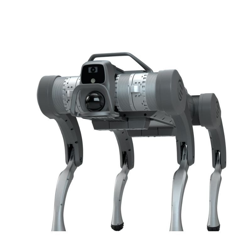 Quadruped Robot Dog med öppen källkod