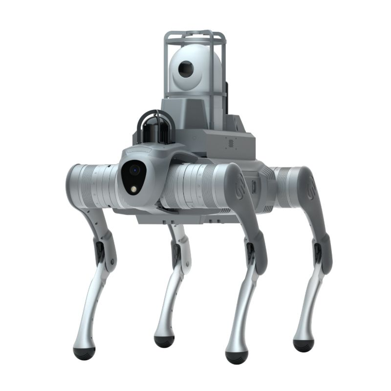 Fyrbent robotchassiplattform med fyrbent robothund